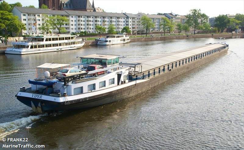 Viper — thumbnail 2